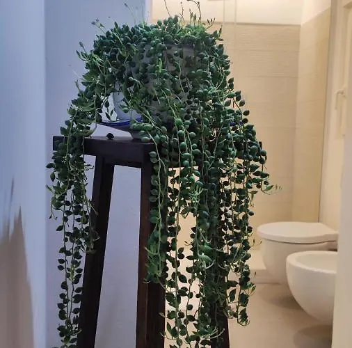 דירה Amalo בארי