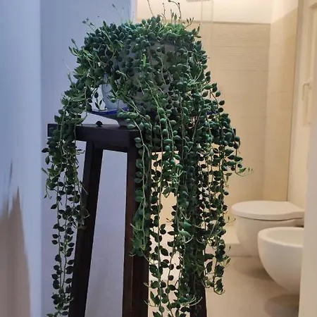 Apartament Amalo Bari